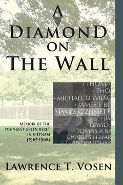 portada a diamond on the wall (en Inglés)