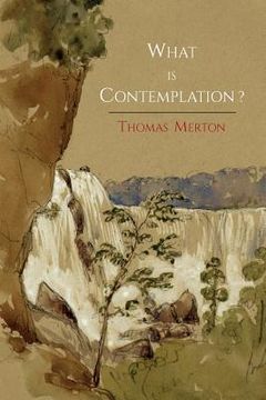 portada What Is Contemplation?