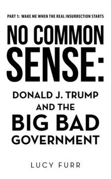 portada No Common Sense: Donald J. Trump and the Big Bad Government (en Inglés)