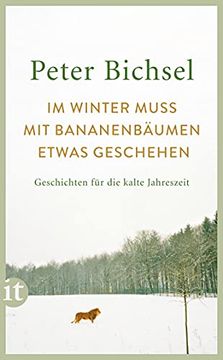 portada Im Winter Muss mit Bananenbäumen Etwas Geschehen: Geschichten für die Kalte Jahreszeit (Insel Taschenbuch) (in German)