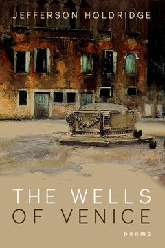 portada The Wells of Venice (en Inglés)