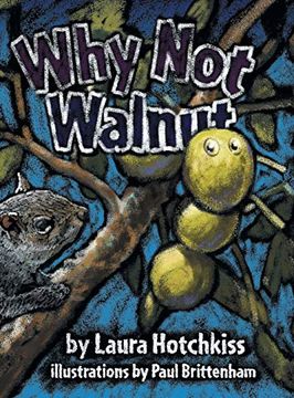 portada Why not Walnut (in English)