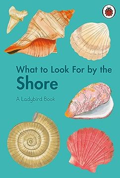 portada What to Look for by the Shore