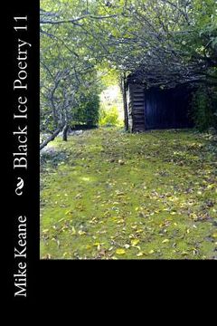 portada Black Ice Poetry 11 (en Inglés)