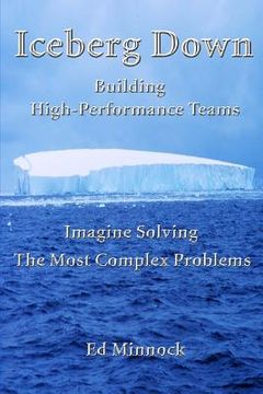 portada Iceberg Down: Building High-Performance Teams: Imagine Solving the Most Complex Problems (en Inglés)