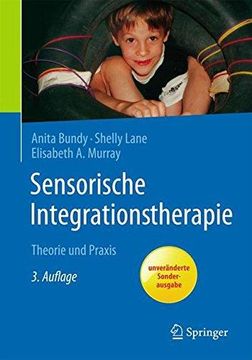 portada Sensorische Integrationstherapie: Theorie und Praxis 