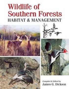 portada Wildlife of Southern Forests: Habitat & Management (en Inglés)