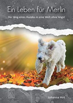 portada Ein Leben für Merlin: Der weg Eines Hundes in Eine Welt Ohne Angst (en Alemán)