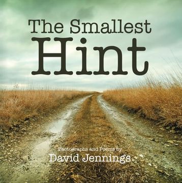 portada The Smallest Hint (en Inglés)