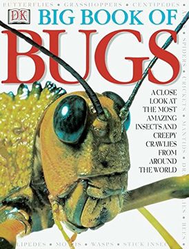 portada Big Book of Bugs (in English)