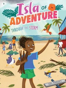 Through the Storm (9) (Isla of Adventure) (en Inglés)