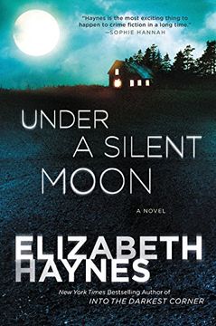 Under a Silent Moon: A Novel (Briarstone)