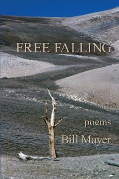 portada Free Falling (en Inglés)