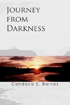 portada journey from darkness (en Inglés)