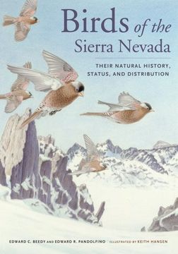 portada Birds of the Sierra Nevada: Their Natural History, Status, and Distribution (en Inglés)