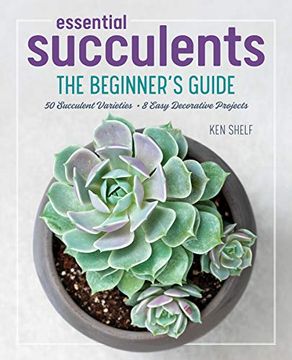 portada Essential Succulents: The Beginner's Guide (in English)