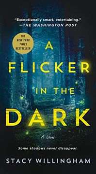 portada A Flicker in the Dark: A Novel 