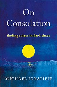 portada On Consolation: Finding Solace in Dark Times (in English)