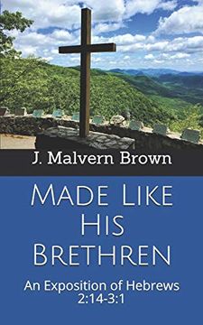 Made Like his Brethren: An Exposition of Hebrews 2: 14-3: 14 (en Inglés)
