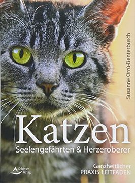 portada Katzen? Seelengefährten & Herzeroberer: Ganzheitlicher Praxis-Leitfaden (in German)