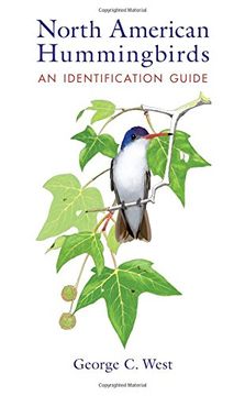 portada North American Hummingbirds: An Identification Guide (en Inglés)