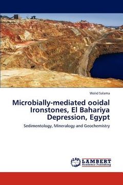 portada microbially-mediated ooidal ironstones, el bahariya depression, egypt (en Inglés)