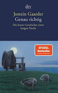 portada Genau Richtig: Die Kurze Geschichte Einer Langen Nacht (in German)