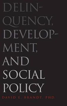 portada Delinquency, Development, and Social Policy (Current Perspectives in Psychology) (in English)