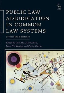 portada Public Law Adjudication In Common Law Systems: Process And Substance