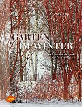 portada Gärten im Winter: Faszinierende Farbenpracht und Formenvielfalt (en Alemán)