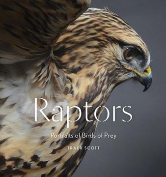 portada Raptors: Portraits of Birds of Prey
