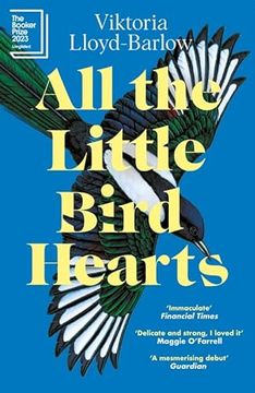 portada All the Little Bird-Hearts (en Inglés)