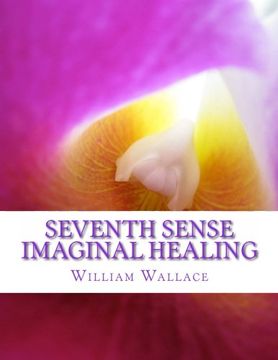 portada Seventh Sense Imaginal Healing: An homage to Dr. Richard Bartlett, Benjamin Bibb, Barbara Ann Brennan, Donna Eden, Dr. Meg Blackburn Losey, Dr. Gerald ... Carl Simonton, Thomas Willhite, and others.