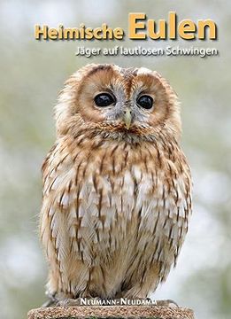 portada Heimische Eulen: Jäger auf Lautlosen Schwingen (en Alemán)