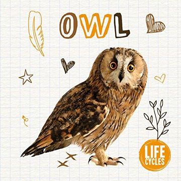 portada Owl (Life Cycles) (en Inglés)