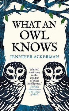 portada What an owl Knows: The new Science of the World? S Most Enigmatic Birds