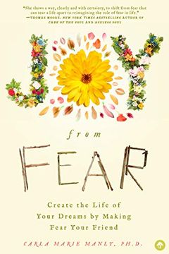 portada Joy From Fear: Create the Life of Your Dreams by Befriending Your Fear (en Inglés)