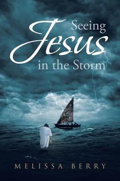 portada Seeing Jesus in the Storm (en Inglés)
