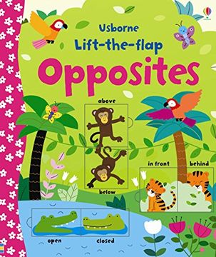 portada Lift-The-Flap Opposites (in English)
