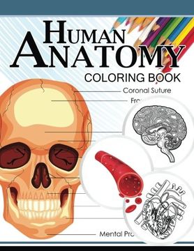 portada Human Anatomy Coloring Book: Anatomy & Physiology Coloring Book 3rd Edtion (en Inglés)