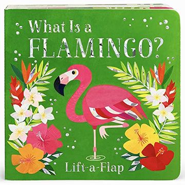 portada What is a Flamingo? (in English)
