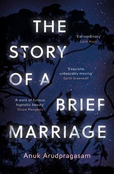 portada The Story of a Brief Marriage