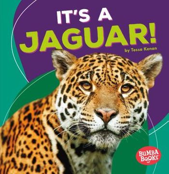 portada It's a Jaguar! (Bumba Books ® ― Rain Forest Animals) (en Inglés)