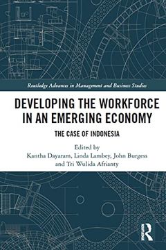 portada Developing the Workforce in an Emerging Economy (Routledge Advances in Management and Business Studies) (en Inglés)