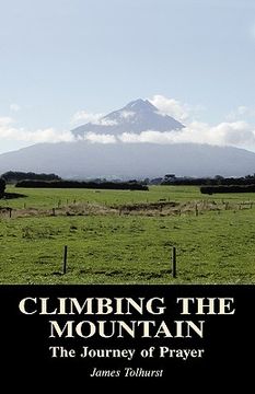 portada climbing the mountain (en Inglés)
