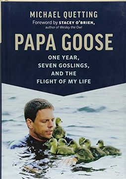 portada Papa Goose: One Year, Seven Goslings, and the Flight of my Life (in English)
