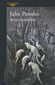portada Aves inmóviles (in Spanish)