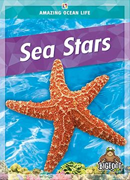 portada Sea Stars (Amazing Ocean Life) (in English)