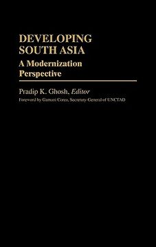 portada developing south asia: a modernization approach (en Inglés)