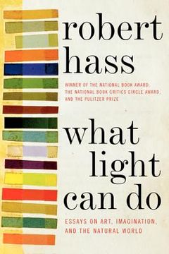 portada what light can do: essays on art, imagination, and the natural world